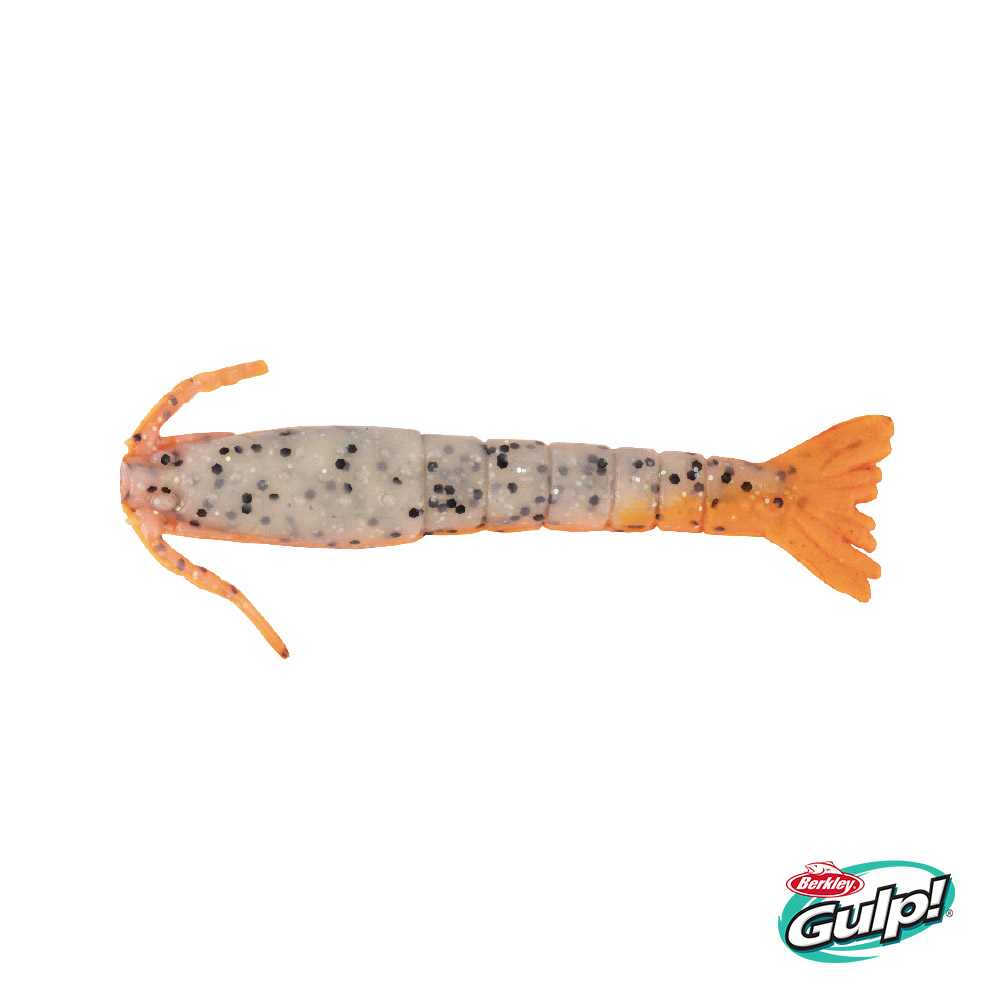 Gulp!® Shrimp - Berkley Fishing