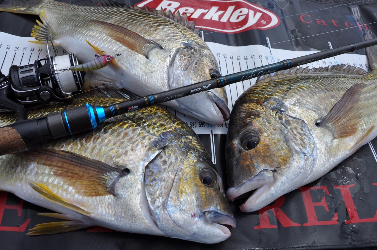 Learning about lures: bream bounty