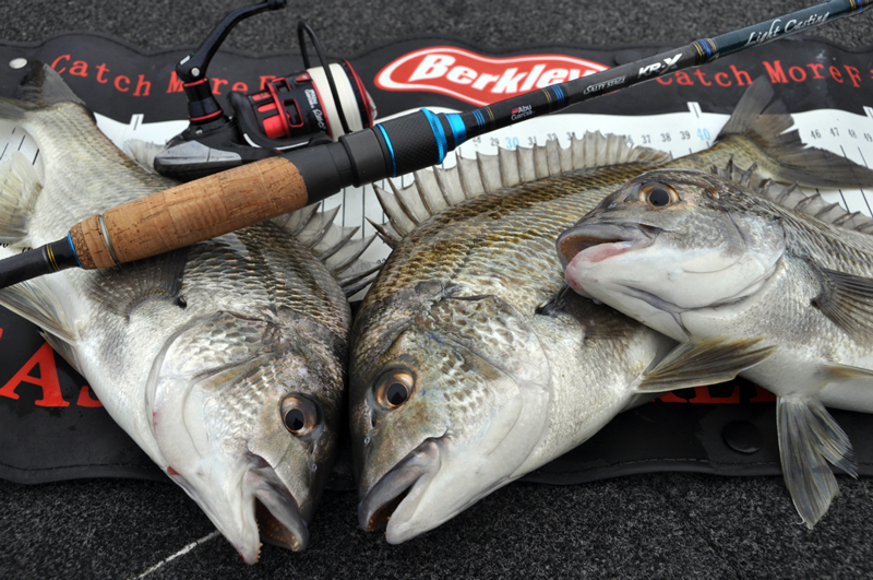 Luring BIG Bream: Part 2 Metal Blades by Brent Hodges