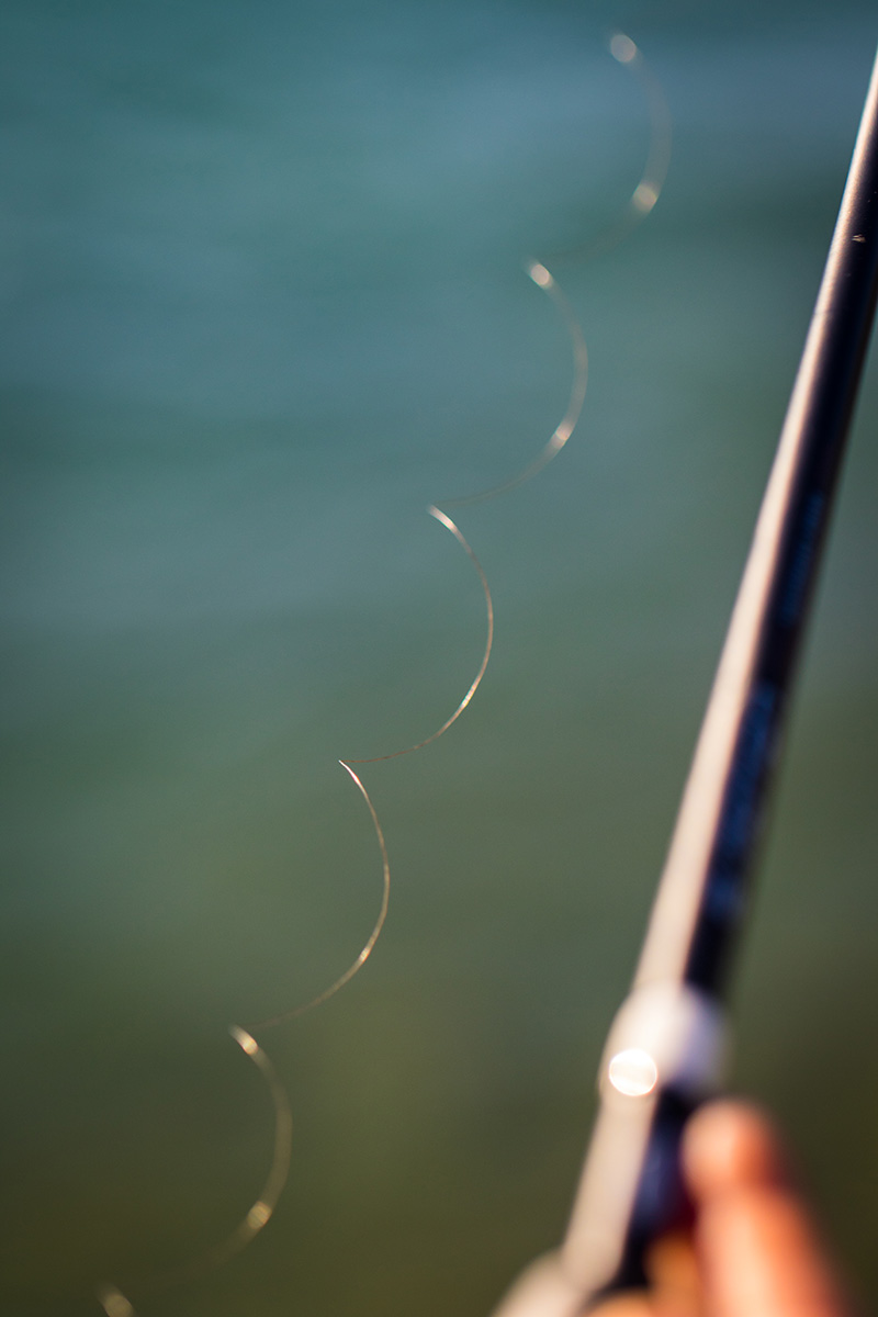 Benefits of Fluorocarbon Fishing Line and Technique-Specific Line