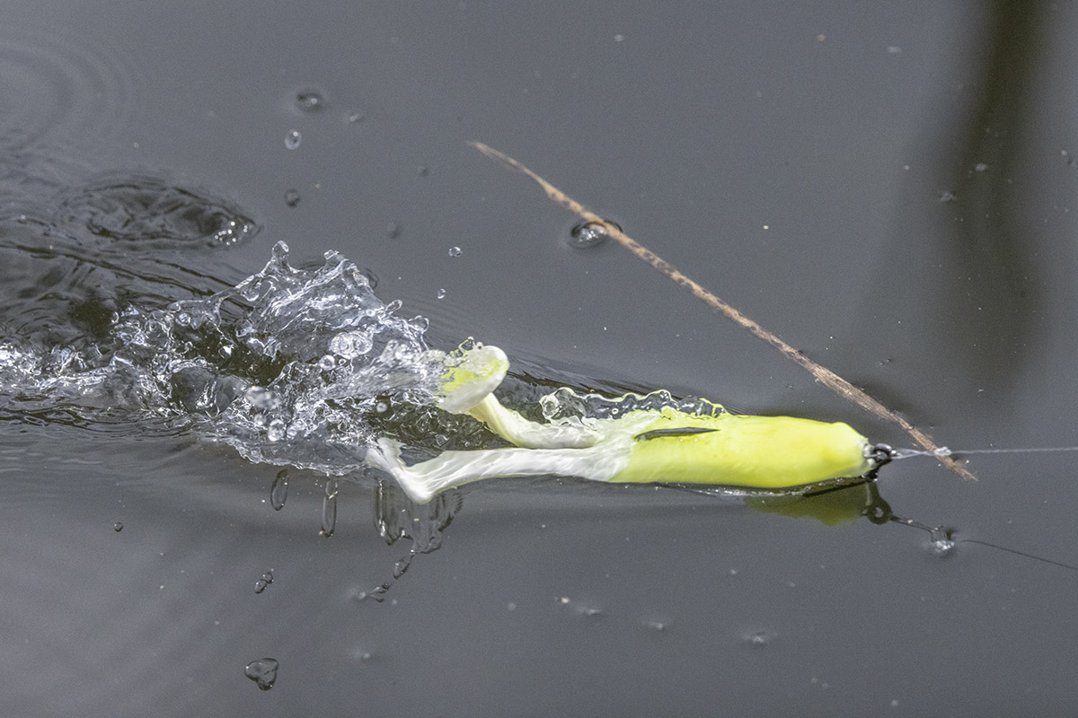 Fishing Gear: Berkley PowerBait Beat'n Paddle Frog - In-Fisherman