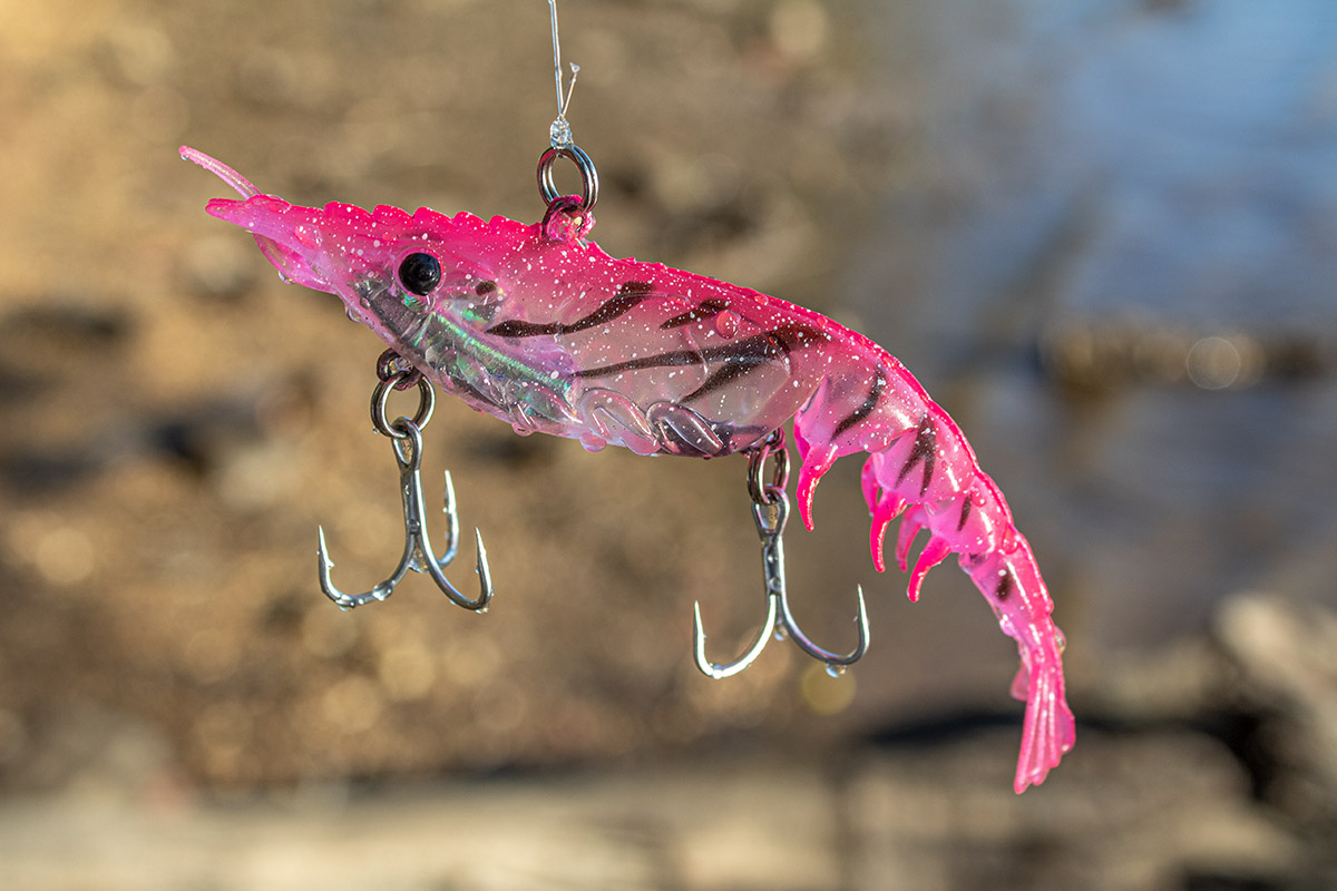 Best Way To Fish Shrimp Lures In The Shallows (And Catch Loads Of