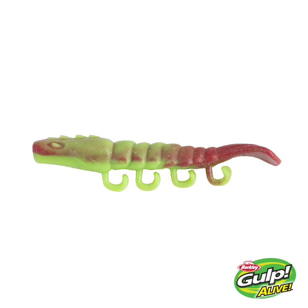 Berkley Fishing is the home of the Gulp! Alive! range of products